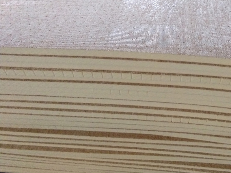 1698982474874049058.jpg