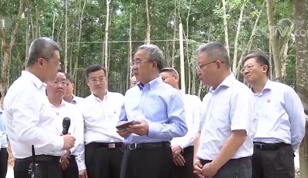 mg不朽情缘(中国区)官方网站