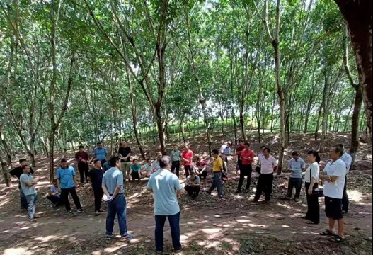 mg不朽情缘(中国区)官方网站