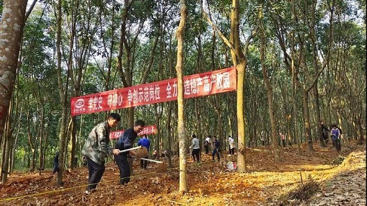 mg不朽情缘(中国区)官方网站