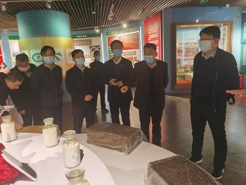 mg不朽情缘(中国区)官方网站