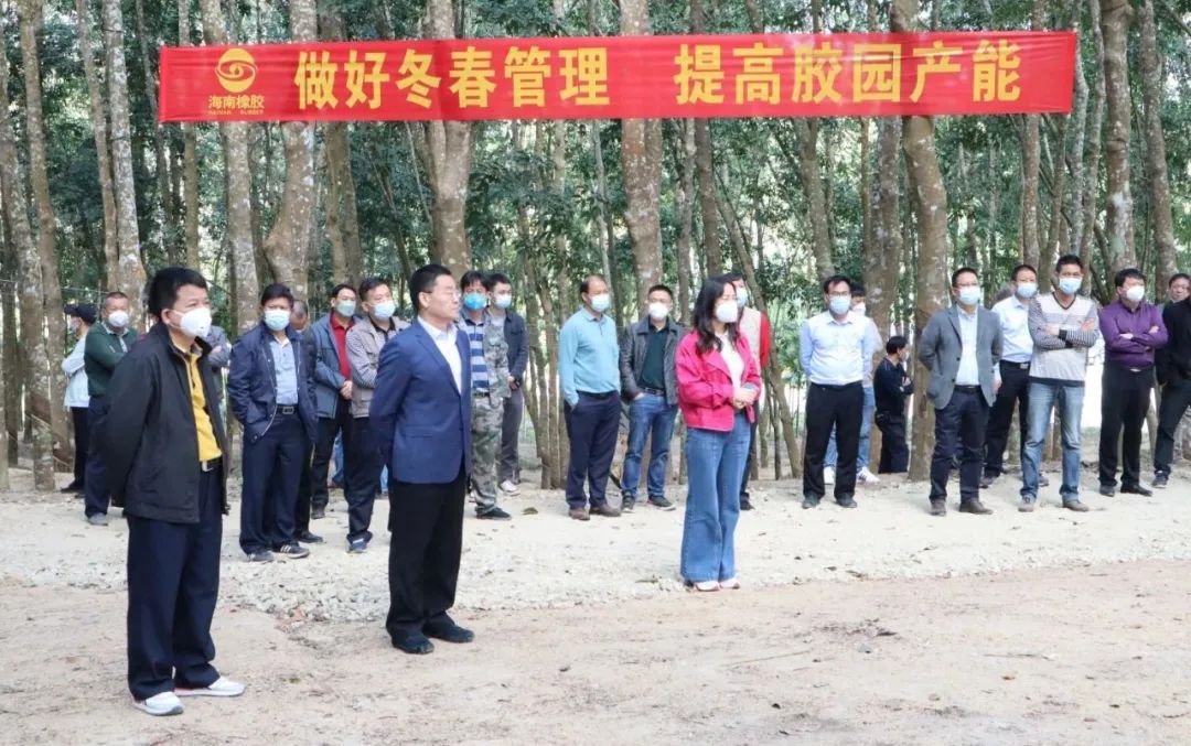 mg不朽情缘(中国区)官方网站